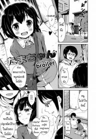 น้องแมว ทามะจัง [Broiler] Tama-chan